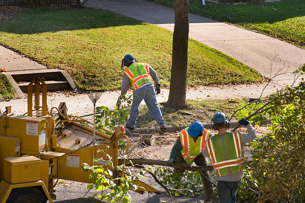 Best Lawn Watering Services  in Rosedale, CA